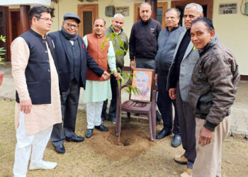 सुशासन दिवस पर कोर्ट परिसर में किया पौधारोपण