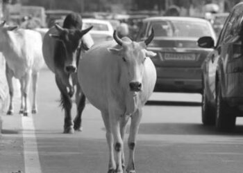 पूर्व सीनियर डिप्टी मेयर डीएन सैनी के चाचा व भाई का निधन