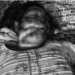 हिसार मर्डर मिस्ट्री का पर्दाफाश , पडोसी निकला मास्टरमाइंड , उधार के पैसे लौटने से बचने के लिए की हत्या।